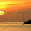 아싸가오리 이미지