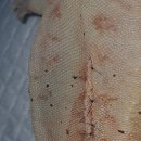 보현동물병원 이미지