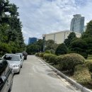 양재시민의숲 테니스장 이미지