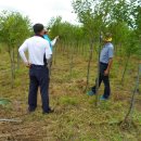 수관농장 이미지