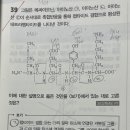 2014 pt 5 / 2022 pt 10 : 아미노산 등전점, 해리상수 이미지