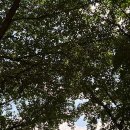 싱무브XINGMOVE | 자유를 향해 도전하세요! 싱무브 그라운드 탐방기