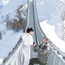 (주)진경 이미지