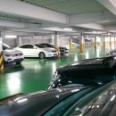 내손체육공원 잔디구장 이미지