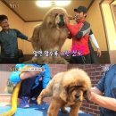 김명석농장 이미지