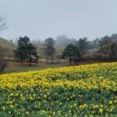 산나물밥상 이미지