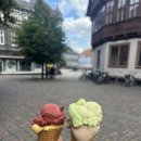 Little Bear Big Trip | 독일 일상: Woche 2