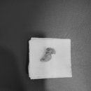 문정탑동물병원 이미지