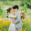 듀메르시