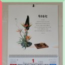 일진운수 이미지