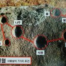 대곡리 암각화 이미지