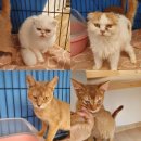 시골마을 이미지