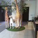 강정동 186-4 이미지