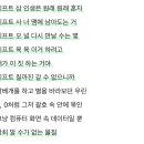 많이 늦은 8월의 시작 이미지