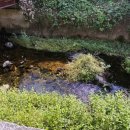 능원2리 이미지