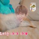 [강다니엘] 어제 신비한동물퀴즈에 언급 ㅋㅋ 이미지