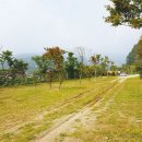 도전캠핑장 이미지