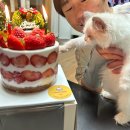 윤스브로 | [천호케이크맛집] 특별한 날 예약하기 좋은 가성비 천호 수제케이크집, 윤스브로
