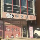 포근멍 애견 유치원 | [일산 대화동] 일산 애견유치원 멍플리 후기｜만족도 최상! 강아지가 집에 와서 바로 뻗어버린 이유...