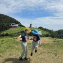 올리브식 김밥 칼국수 | 거제 1박2일 여행코스 추천 부모님과 아이랑 가볼만한곳 총정리