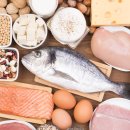 TI FITNESS 이미지