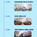 (주)비투티 | 벚꽃명소! 진해군항제 여좌천 경화역 주말 방문 후기