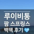 크로스팜 | 루이비통 가바 팜 스프링스 미니 백팩 구매 후기 착샷 코디