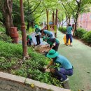 구포3동-13 이미지