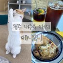 데니도니