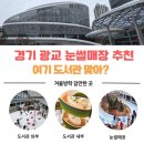 약대신나는가족도서관 | 도서관에서 눈썰매를? 경기도서관 겨울눈밭놀이터 내돈내산 후기｜광교 아이와 가볼만한 곳