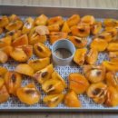 한근농장 이미지