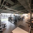 하이토탈피트니스 이미지