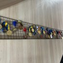 신종훈 복싱클럽 이미지