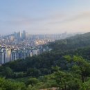 개미행정사 이미지