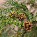 양은리어린이공원 이미지