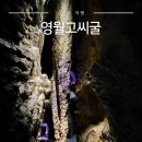 김삿갓면-41 | 강원도 영월 놀거리 고씨동굴 입장료 4억년 자연의 신비 천연기념물 방문후기
