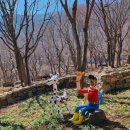월아산 숲속의 진주(목재문화체험관) 이미지