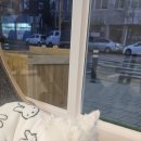 퍼피짱 대도점 이미지