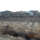 송천현대주유소 이미지