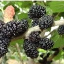 남경농장 이미지