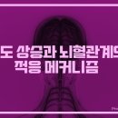 삼성탑내과의원 네이버블로그