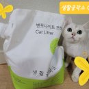 호기심 고양이 공작소 | [체험단] 생활공작소 고양이 벤토나이트 모래&amp;펫 집착 청소포 체험 후기입니다.