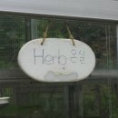 부천상록학교 이미지