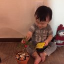구름열매 Daum카페