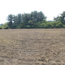 성읍리-26 이미지