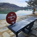 집나간 오리찾읍니다 이미지