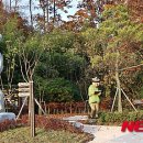 도당3리 이미지