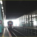 수원-1729 이미지