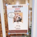 신신인테리어 이미지
