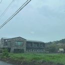 어썸스테이 | [제주도/숙박] 반려견을 위한 숙소 제주 구좌 ‘어썸스테이’